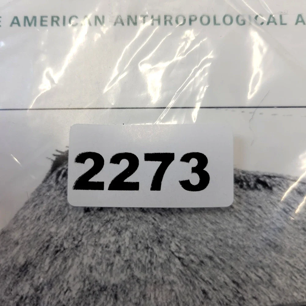 American Anthropologist Vol 117 No 2 June 2015‎ Anthropology Journal Softcover